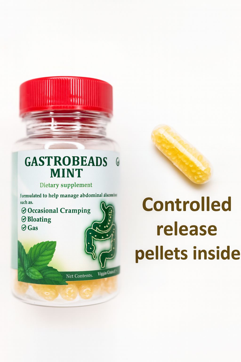 GastroBeads™ Intestinal Support Supplement – Delayed-Release Formula for Abdominal Comfort - Image 2